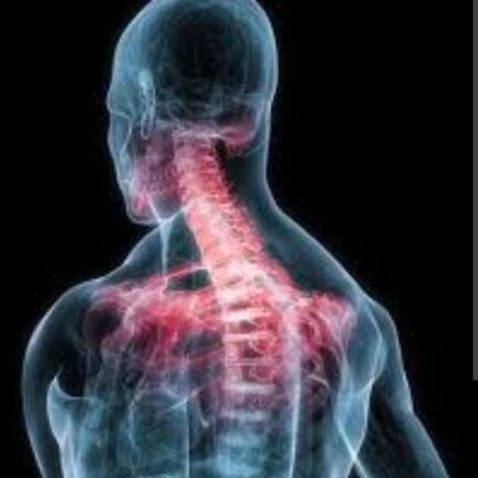 WhatsApp Image 2026-03-16 at 12.26.00