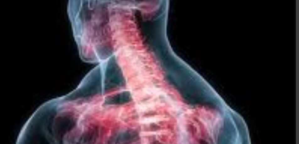 WhatsApp Image 2026-03-16 at 12.26.00